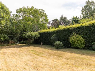 Picture 20